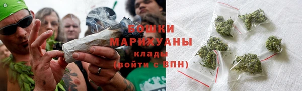 стафф Россошь