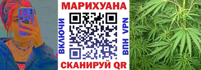 блэк спрут маркетплейс  Нижняя Тура  Конопля сатива  где найти  